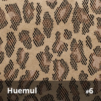 Huemul 6